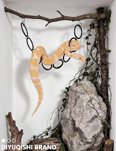 2-Pack Snake Climbing Ring and Chain, Acrylic Ball Python Enrichment Toy | Scratch-Free, Scale-Safe Construction