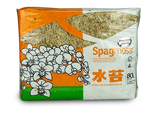 besgrow New Zealand Sphagnum Moss (1 kilogram),tan - size: AAA Premier (6" Strands)