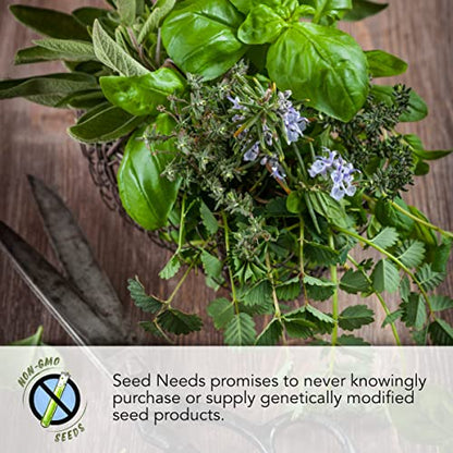Seed Needs Dandelion Seeds Variety Pack of 3 Non-GMO & Heirloom Herbs
