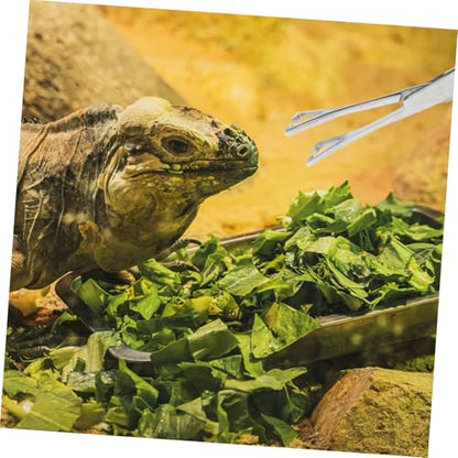 Stainless Steel Reptile Feeding Tongs Long Handle Clamp for Snakes Lizards Wear Resistant Tool with Tension for Easy Feeding Terrariums and Tanks