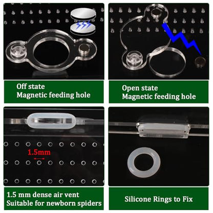 Jumping Spider Enclosure 4x4x4 Acrylic Clear Cage - color: Transparency-Basic