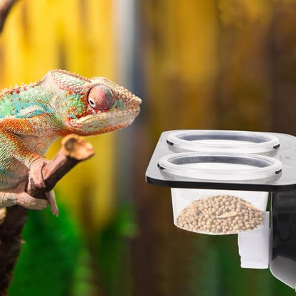 Cabilock Reptile Food Bowl and Water Basin Double Compartment Stable Lizard Feeder with Suction Cups 10pcs Set for Tree-Dwelling Reptiles and Geckos