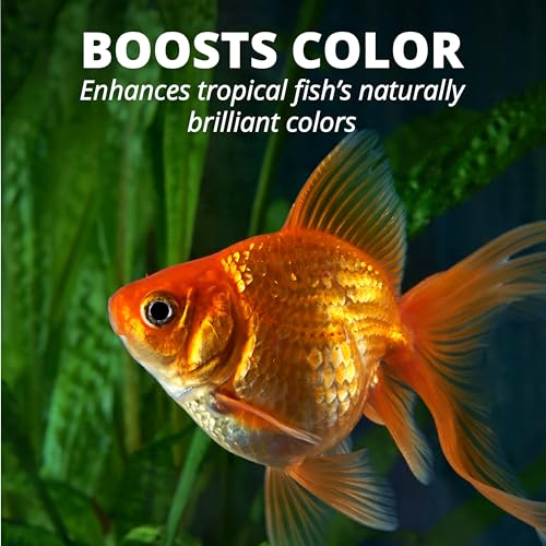 Tetra Goldfish Flakes, Nutritionally Balanced Diet for Aquarium Fish, Vitamin C Enriched Flakes, .42 oz (36 Pack) - size: 0.42 Ounce (Pack of 36)