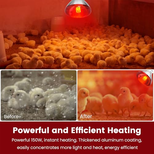 DaToo Infrared Heat Lamp Bulb for Chickens Red Heat Lamp Flood Light Heat Lamp Bulb 150 W Heating Bulbs for Brooder Coops Pets Chicks Reptiles Food Service (1 Pack) - size: 1 Pack