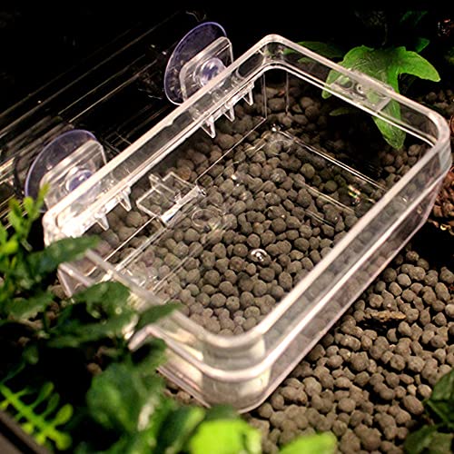 Reptile Feeder Chameleon Bowl 2 Pcs Anti-Escape Food Dish Bowl with Suction Cup for Chameleon Iguana Lizard Reptile Food and Water Feeding (White, S) - color: White, size: S