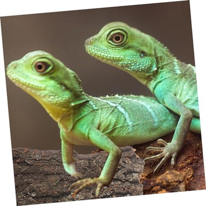 4pcs Cork Bark for Reptiles Natural Tree Bark Decoration for Terrarium Climbing Platform for Snakes Lizards Bearded Dragons and Other Crawling Pets