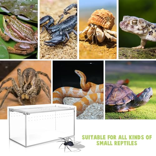 6*6*12in & 8*4*4in Front Opening Arboreal Tarantula Enclosure