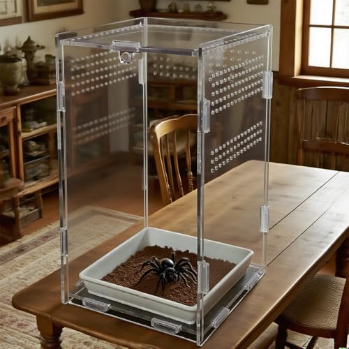 Acrylic Jumping Spider Enclosure,Reptile Enclosure,Bug Habitat, for Small Tree Dwelling Reptiles,Arboreal Tarantula Enclosure, Spider Terrarium Kit,Plastic Terrarium(4.7" X 4.7" X 8") - color: A3