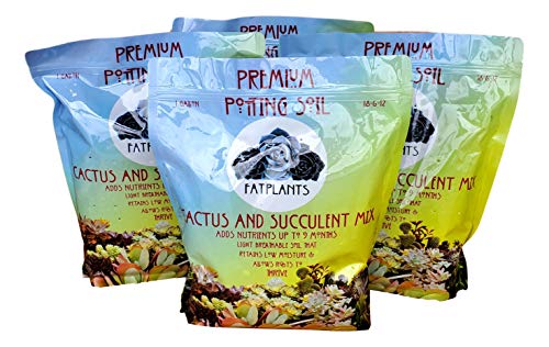 Fat Plants San Diego Premium Cacti and Succulent Potting Mix Soil - for Cactus Palm Tree Citrus Plant Grown in Gardening Containers - Indoors & Outdoors Use - with Natural Food/Fertilizer - size: 4 Gallons