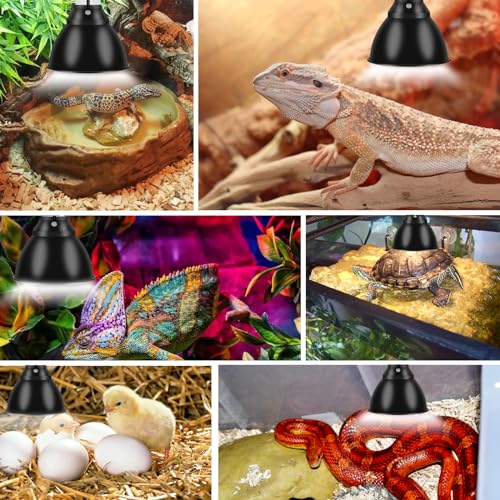 Reptile Lamp Stand Ajustable 16-31 Inch Heat lamp Holder Metal Bracket Floor Terrarium Light Holder for Reptile Glass Tank,Snake Turtle Terratium - size: 16-31 Inch