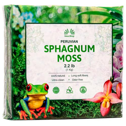 Long Fiber Sphagnum Moss for Indoor Plants Peruvian Orchid Moss Ultra Clean Odor Free Fast Expanding Moisture Retention Airy Drainage for Aroids Carnivorous Plants Terrarium Reptile Bedding (2.2lb) - size: 2.2lb