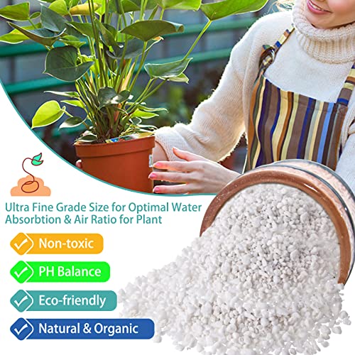Legigo 2 QT Organic Horticultural Perlite & 2 QT Horticultural Charcoal, Natural Soil Amendment for Superior Drainage, Aeration, and Healthy Root Systems in Indoor Plants, Orchids, Terrariums & Pottin