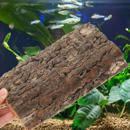 Kisangel Natural Cork Bark Aquarium Decor 4Pcs 7.87X4.13 Inch Terrarium Bark Background Reptile Tank Accessory for Climbing Habitat and Fish Tank Decoration
