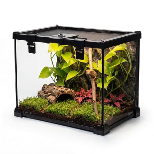 20"x12"x14" Reptile Terrarium, Escape-Proof Glass Arboreal Vivarium for Small Arboreal Reptiles Such as Crested Geckos, with Escape-Proof Lock & Feeding Hatch - size: 20"D x 12"W x 14"H