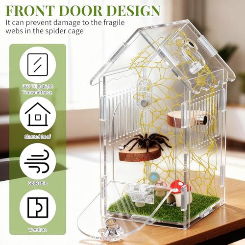 Hysagtek Jumping Spider Enclosure - Acrylic Arboreal Tarantula Enclosure Small Reptile Terrarium with Magnetic Door, Clear Jumping Spider Enclosure Accessories