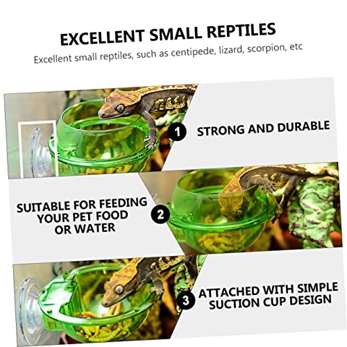 HEMOTON 4Pcs Lizard Feeder Bowl with Suction Cup Escape Design for Reptiles Easy to Stable Pet Dish for Food and Water for Bearded Dragons Geckos Frogs