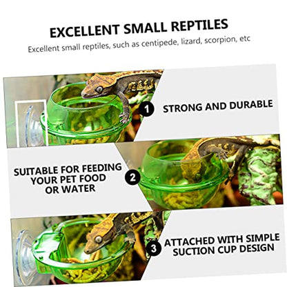 HEMOTON 4Pcs Lizard Feeder Bowl with Suction Cup Escape Design for Reptiles Easy to Stable Pet Dish for Food and Water for Bearded Dragons Geckos Frogs