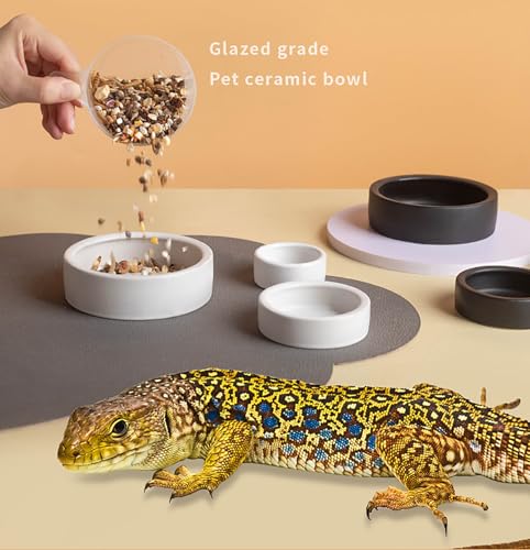 2 Pack Black Ceramic Reptile Food and Water Dish Anti Escape Bowl for Bearded Dragons Lizards Geckos and Leopards (Medium) - size: Medium