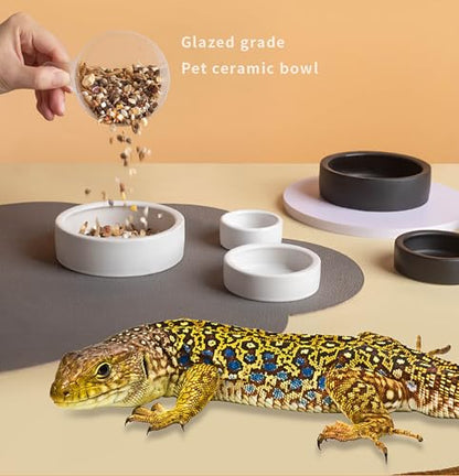 2 Pack Black Ceramic Reptile Food and Water Dish Anti Escape Bowl for Bearded Dragons Lizards Geckos and Leopards (Small) - size: Small