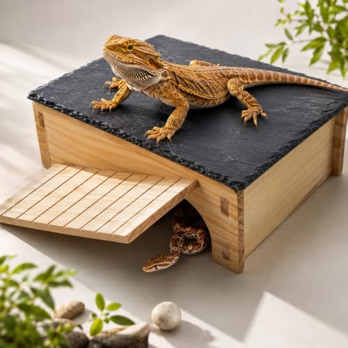 Slate Rock Basking Platform with Hideout Cave for Bearded Dragons and Reptiles