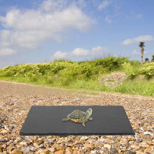 Abaodam Turtle Basking Platform Natural Rock Tile for Tortoises Easy Climbing Structure for Fish Tanks and Reptile Boxes Approx