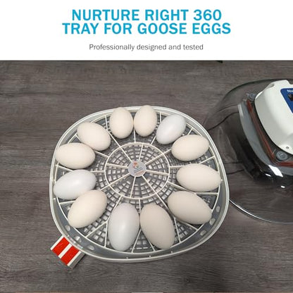 Egg Trays for 11 Large (Goose/Turkey) Eggs - Durable Egg Tray for Nurture Right 360 Egg Incubator - Hand Washable Eggs Keeper for Chicken Goose Turkey Emu (Various Sizes)