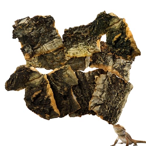 10PCS Cork Bark for Reptiles, Habitat Decor for Terrariums and Vivariums, Reptile Enclosure Accessories with Dimensions of Appropriate Size