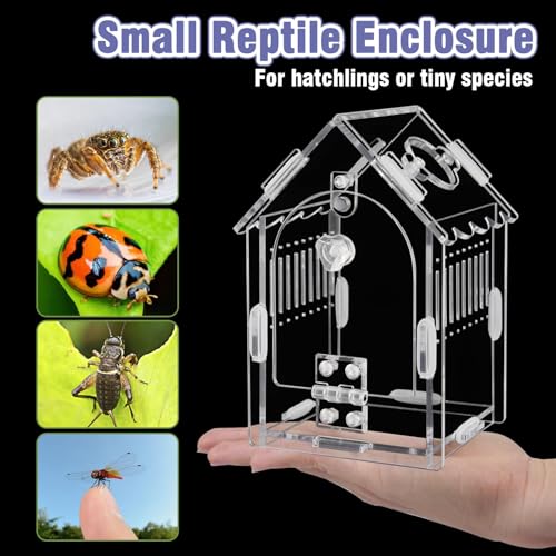 Acrylic Jumping Spider Enclosure with Magnetic Latch - color: Transparency
