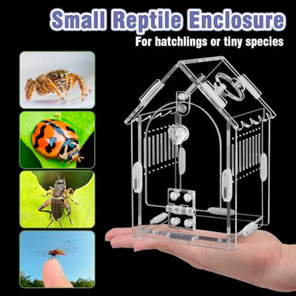 Acrylic Jumping Spider Enclosure with Magnetic Latch - color: Transparency