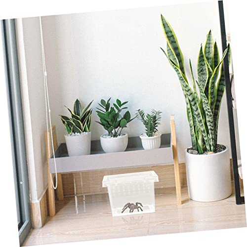 Reptile Breeding Box Transparent Plastic Habitat for Lizards and Spiders with Ventilation System for Optimal Airflow and Observation Space