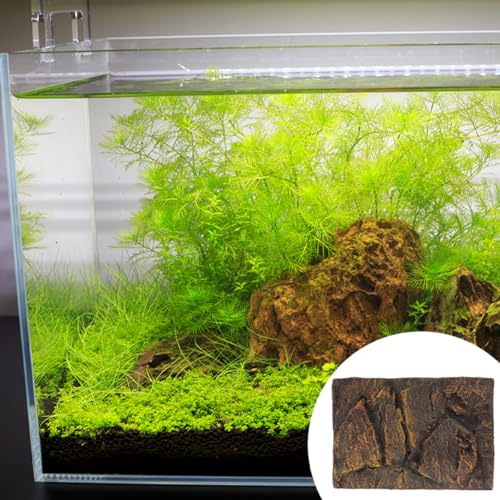 Toddmomy 3D Reptile Tank Background Cork Turtle Aquarium Panel Sturdy Waterproof Decorative Boards