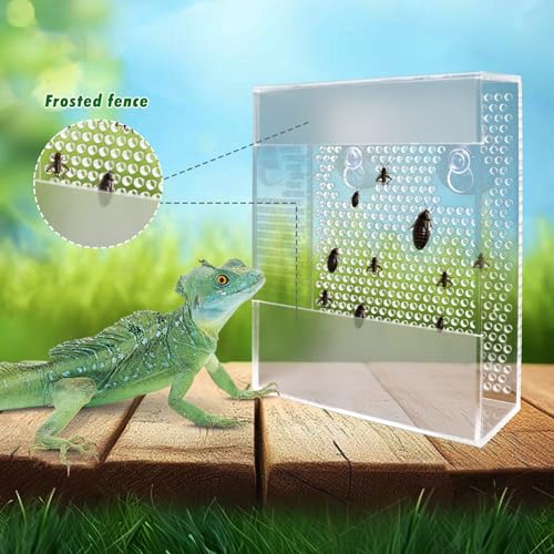 Acrylic Reptile Feeder with Suction Cups, Wall-Mounted Bearded Dragon Food Bowl, Tank Accessories for Bearded Dragon, Gecko, Chameleon, Frog