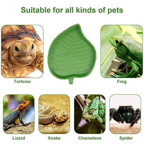 Boao 2 Pieces Leaf Reptile Food Water Bowl Plate Turtle Feeding Dishes for Tortoise Corn Snake Crawl Pet Bearded Dragon, Lizards, Gecko Drinking and Eating, 2 Sizes