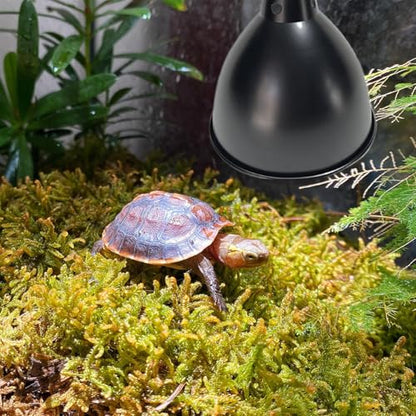 Terrarium Light Fixture - Reptile Heat Lamp Fixture with Deep Dome Design, UVB Bulb Reflector | Heat Bulbs Basking Lamp Holder, Optical Reflection Cover for Lizards, Turtles, and Amphibians - color: 8.5inch