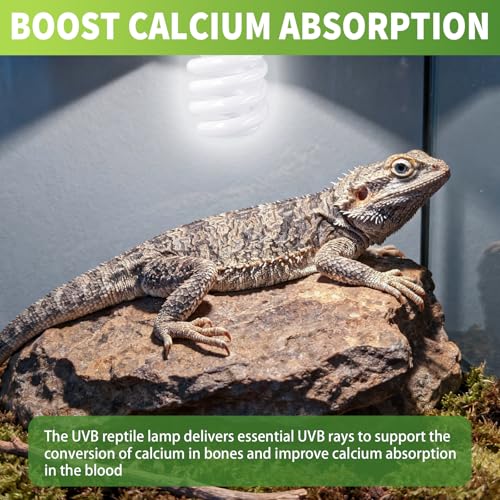 5 Pcs Uvb Reptile Light 10.0 26 W Compact Fluorescent Simulation Color Uvb Bulb for Turtle Bearded Dragon Lizard Gecko Desert Tropical Sub Tropical Reptiles