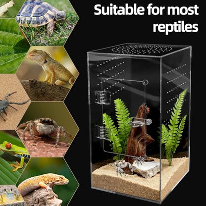 Jumping Spider Enclosure 12x6x6 Inch Acrylic Reptile Terrarium Tank with Front Opening Door - Vertical Habitat for Tarantulas, Praying Mantis, Hermit Crabs & Small Pets