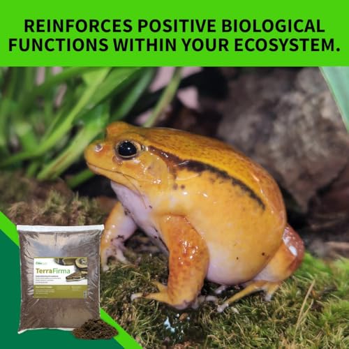 The Bio Dude Terra Firma Bioactive Reptile Substrate 6 quarts for terrariums and vivariums. Bioactive Habitat Substrate for Ball Pythons, Fat Tail Geckos, Milk Snakes, King Snakes and Monitors