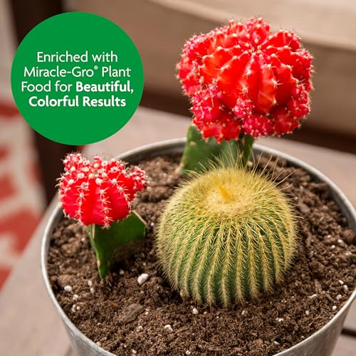 Miracle-Gro Cactus, Palm and Citrus Potting Mix, For Indoor or Outdoor Container Plants, Great for Succulents, 8 qt., 3-Pack - style: Potting Mix 3 Pack
