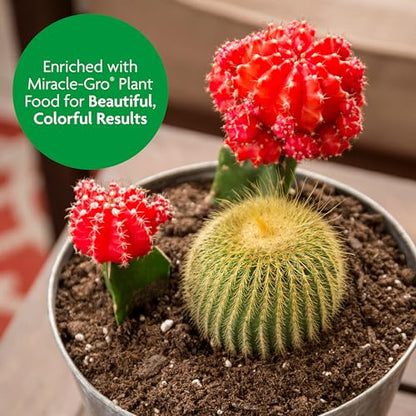 Miracle-Gro Cactus, Palm and Citrus Potting Mix, For Indoor or Outdoor Container Plants, Great for Succulents, 8 qt., 3-Pack - style: Potting Mix 3 Pack