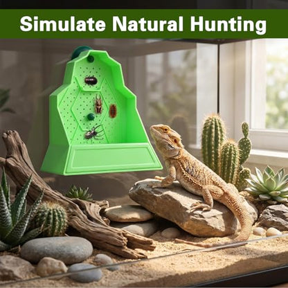 Bearded Dragon Feeder, Wall-Mounted Reptile Feeding Bowl, Anti-Escape Feeder with Suction Cup, Bearded Dragon Tank Accessories for Terrarium, Vivarium, Lizard, Gecko, Frog