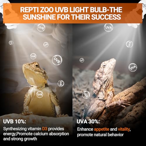REPTI ZOO UVB Light for Desert Reptile 2 Pack, 10.0 26W UVA UVB Reptile Light Bulb, UVB Spiral Compact Lamp for Bearded Dragons Tortoises Lizards Snakes - size: 10.0 26W