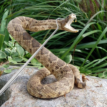 ABOOFAN Retractable Stainless Steel Snake Hook Adjustable Long Handle Portable Reptile Catching Tool for Snake Handling and Reptile Care