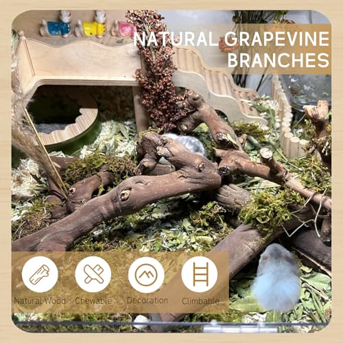 kathson 2Pcs Wood Hamster Climbing Branches Decor, Natural Wooden Syrian Hamster Climb Chewing Toys, Rat Exercise Toys, Small Animal Habitat Decor Accessories for Dwarf Pets, Mice, Gerbils