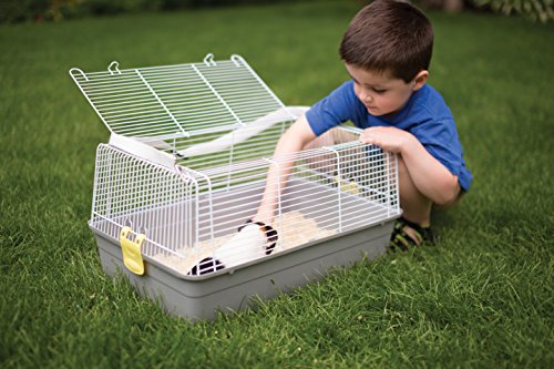 Prevue Pet Products Small Animal Travel Carrier - Hamster, Bird, Parakeet, Gerbil, Rabbit, Ferret, Guinea Pig, & Rat Carrier, Easy Pet Transportation, Travel Bird Cage, Lightweight & Portable - Gray