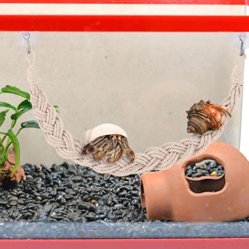 Hermit Crab Toys Tank – Reptile Terrarium Accessories Climbing, Jute Rope Ladder Lizards, Geckos Snakes | Tank - Reptile Terrarium Accessories Climbing Jute Rope Ladder Lizards Geckos S - color: Beige