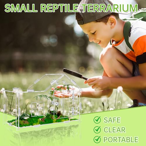 Acrylic Jumping Spider Enclosure, Jumping Spider Terrarium, Versatile Reptile Enclosure for Tarantula, Gecko, Hermit Crab Tank - color: transparent-A