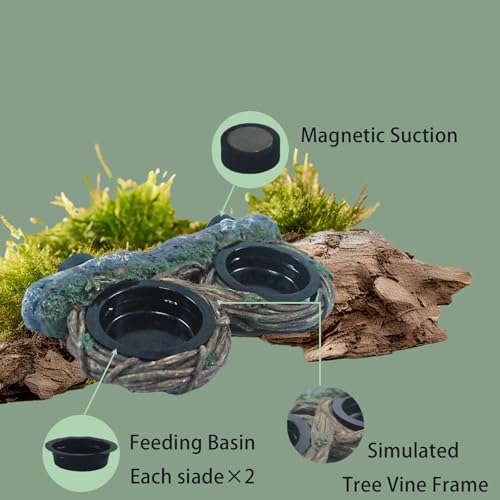 Reptile Feeding Ledge with 4 Cups, Hollow Vine Food Dish & Water Bowl for Bearded Dragon, Gecko, Lizard & Snake – Reptile Tank Accessories for Terrariums - size: Magnetic- Dual Feeder