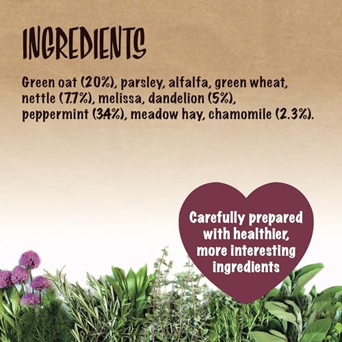 Rosewood Pet 1 Pouch Herbal Garden Food For Small Animals, 100G