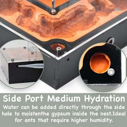 Terra Core Small Progressive Formicarium Ant Nest with Starter Kit - size: Terra Core Series - Small Progressive