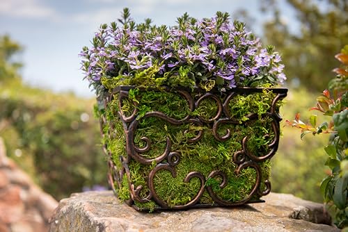 SuperMoss (21588) Sheet Moss Preserved, Natural, 5 Pounds (20-24 sq. ft.) - color: Natural Dried, size: 20-24 sq. ft. Bulk (Appx. 3.5 lbs)